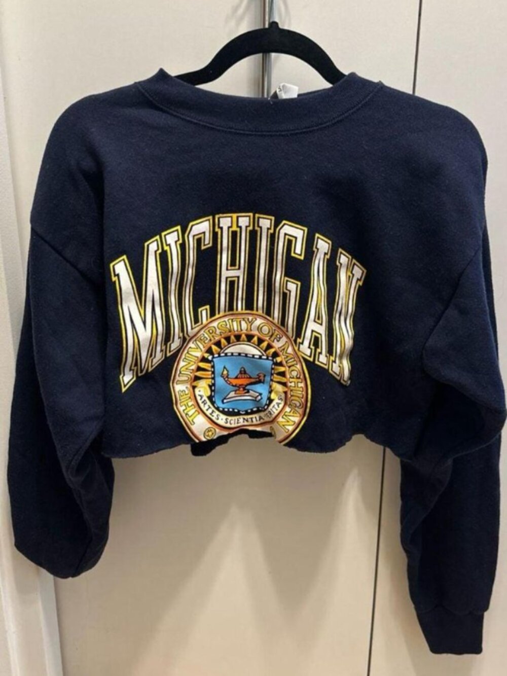 Vintage 90s University of Michigan Wolverines Raw Hem Cropped Crewneck Sweatshir